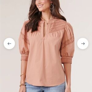 Democracy pouff sleeve embroidered ruffle neck blouse
